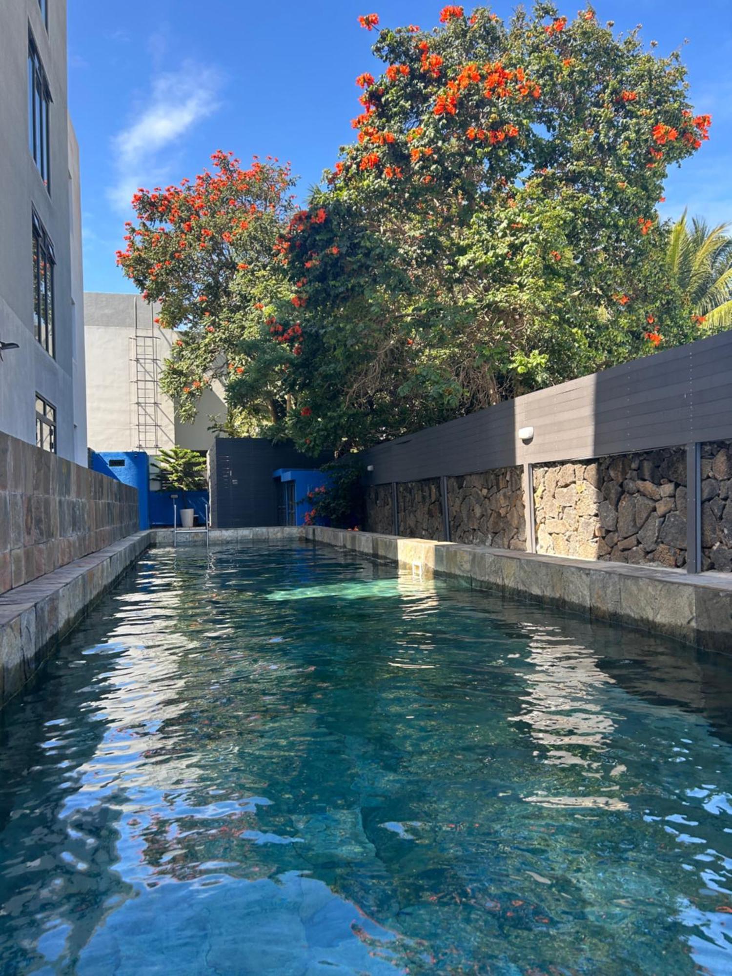 Coastal View Apartments غراند بايَ المظهر الخارجي الصورة